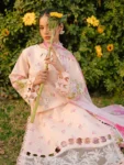 Untitled design (5)